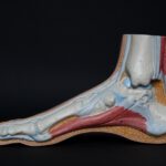 Orthopedische schoenen: Een passende oplossing voor voetproblemen